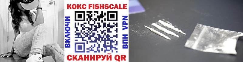 shop как зайти  где можно купить   Каргат  Cocaine Fish Scale 