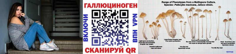 мега зеркало Каргат Галлюциногенные грибы Cubensis