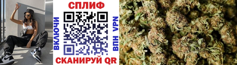 МАРИХУАНА SATIVA & INDICA  Каргат 